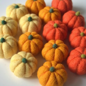 Può includere: Una collezione di piccole zucche rotonde in lana infeltrita ad ago in varie tonalità di giallo, arancione e rosso. Ogni zucca presenta una superficie testurizzata con solchi verticali e un piccolo stelo in feltro verde scuro al centro.