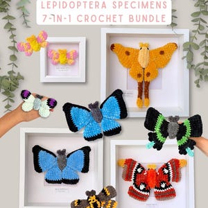 May include: A 7-in-1 crochet bundle of Lepidoptera specimens featuring seven colorful yarn moths and butterflies. The collection includes various designs in shades of blue, orange, yellow, pink, green, black, and brown, displayed in white frames.