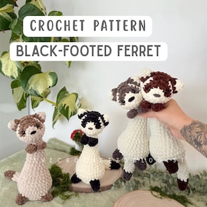 Floppy Ferret Crochet Pattern, black footed ferret plush, wildlife lovers gift, animal crochet , thecrochetzoologist