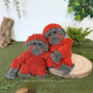 May include: Two handmade crochet orangutan plushies. The plushies are primarily red with gray accents on the face, hands, and feet. The text "THE CROCHET ZOOLOGIST" is visible at the bottom. The plushies are on a green surface.