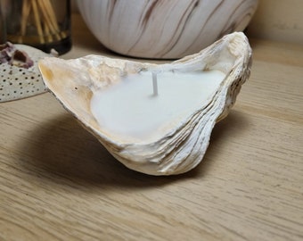 Oyster shell candles, Eco-friendly decor, Seashell candles, Handmade soy candles, Gifts, Home decor, Aesthetic, Beach, Ocean