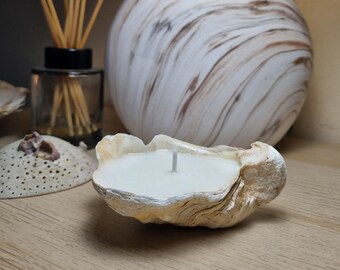 Oyster shell candles, Eco-friendly decor, Seashell candles, Handmade soy candles, Gifts, Home decor, Aesthetic, Beach, Ocean