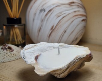 Oyster shell candles, Eco-friendly decor, Seashell candles, Handmade soy candles, Gifts, Home decor, Aesthetic, Beach, Ocean