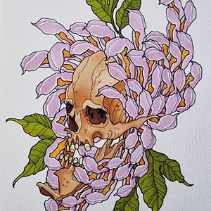 Puede incluir: Una pintura de acuarela de una calavera humana rodeada de flores moradas y naranjas. La calavera está mirando hacia la izquierda y las flores están en plena floración. El fondo es blanco.