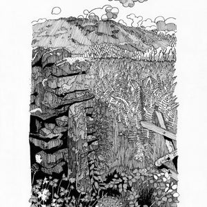 May include: A black and white pen and ink drawing of a stone gate with a wooden fence and a path leading to a hill in the distance. The drawing is titled "Gate by Rydal Water dj23".