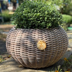 Może przedstawiać: Okrągła, pleciona donica z wikliny wypełniona bujną zieloną rośliną. Donica jest w jasnobrązowym kolorze i ma etykietę z napisem "Garden & Home Decor". Donica stoi na kamiennej powierzchni z trawą na pierwszym planie.