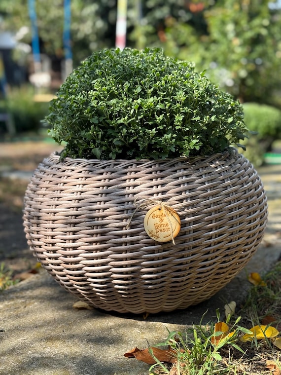 Blumenpflanzgefäß aus Rattan, dekorativer Blumentopf, geflochtener Korb für Pflanzen