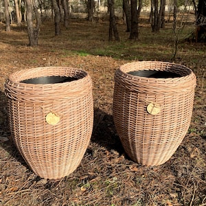 Peut inclure: Deux pots de plantes en osier brun avec des doublures noires, posés sur un lit d'aiguilles de pin dans un environnement forestier.