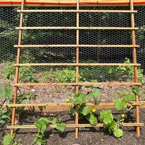 Garden Trellis: Solid Oak