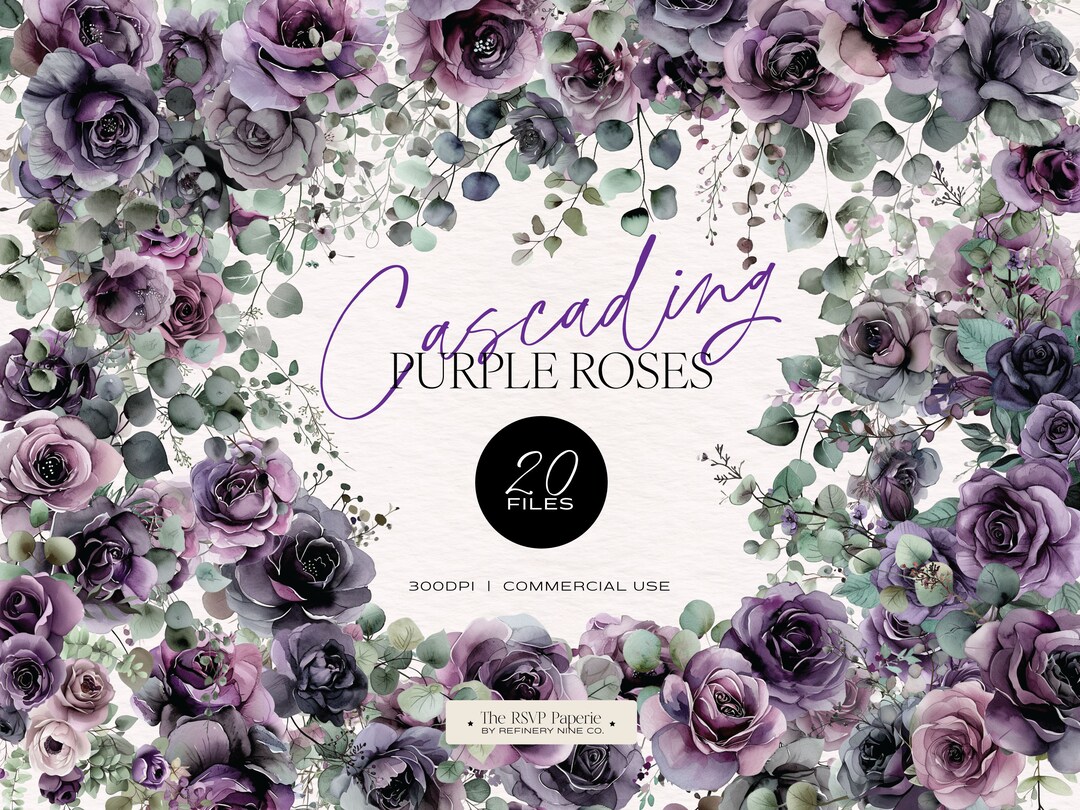Dark Purple Cascading Roses Clipart, Watercolor, Dark, Moody, Wedding ...