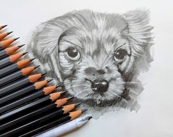 100 % dessiné à la main, Portrait d’animal personnalisé, Croquis au crayon, dessiné à la main, faire un portrait, dessin de chien, portrait de chat, portrait d’animal, cadeau spécial