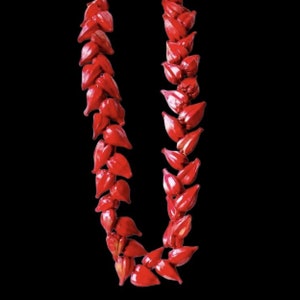 May include: A red lei made of dried seed pods. The lei is strung together with a long string of red seed pods.