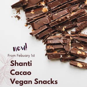 Vegan Chocolates
