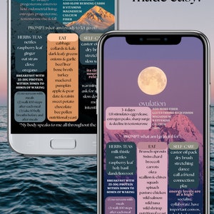 Kunst aan de muur: gids voor cyclussynchronisatie | Gezondheid van vrouwen, hormoonbalans, vruchtbaarheid, voeding | Digitale download