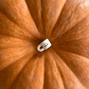 May include: A large, orange pumpkin with a small, white ceramic mug featuring a smiling face. The pumpkin has deep ridges and a smooth surface, perfect for fall decor.