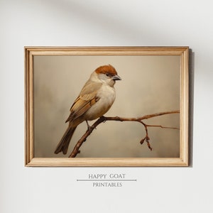 Vintage Sparrow Bird Print, Bird Art Illustration, Printable Wall Art, Antique Bird Painting, Bird Prints, Bird Lover Gift, Instant Download