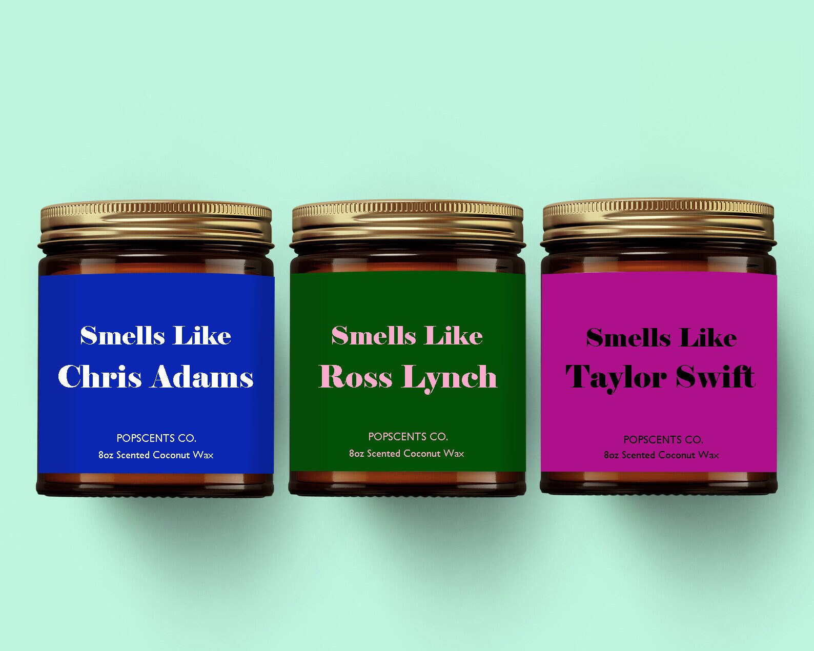 Smells Like Timothee Chalamet Candle Celebrity Candle Fan Gift Candle