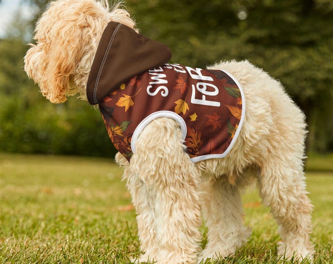 Autumn Dog Sweatshirt – Comfortable, warm, and fun, perfect for fall and an ideal gift for pet lovers