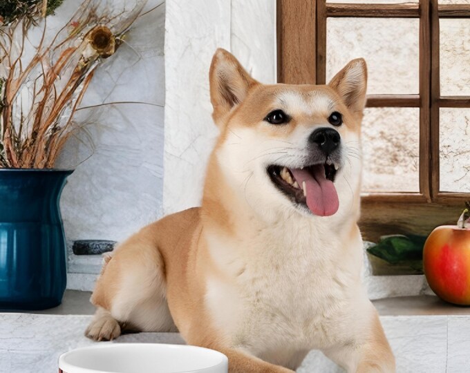Apple-designed pet feeder – fun and original, ideal for stylish dogs and cats