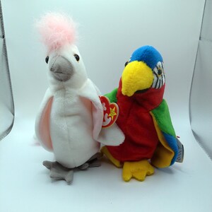 Beanie Baby Parrot (Tropical Bird) and Cockatoo