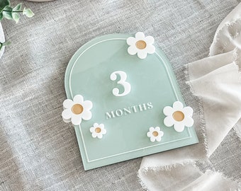 Acrylic Daisy Flower Arch Milestone Cards | Monthly Milestone Markers | Boho Interchangeable Milestone Card | Baby Shower Gift | Photo Prop