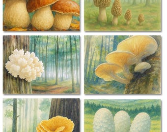 Wild Mushroom Foraging Note Cards 12 or 24 Count-Blank Inside-A2 Size 5.5" x 4.25"