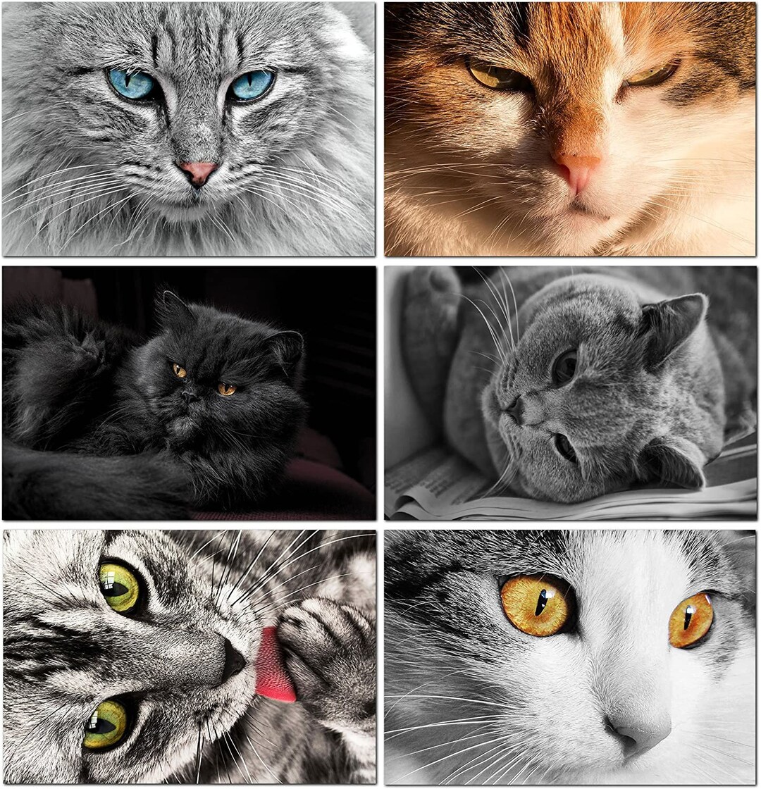 Cat Notecards 12 or 24 Count-blank Inside-a2 Size (5.5”x4.25”) - Etsy