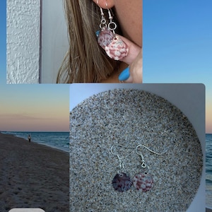 Shell Earrings