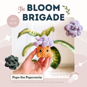 Pepe the Peperomia | The Bloom Brigade Collection | No-Sew Crochet Pattern | Plant Buds | Desk & Drive Buddy | Digital Download | PDF