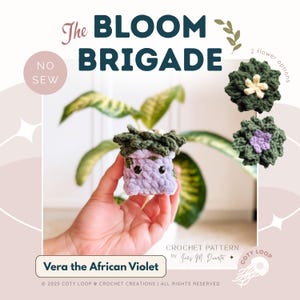 Vera the African Violet Crochet Pattern (PDF) | Bloom Brigade Plant Buddy | CotyLoops