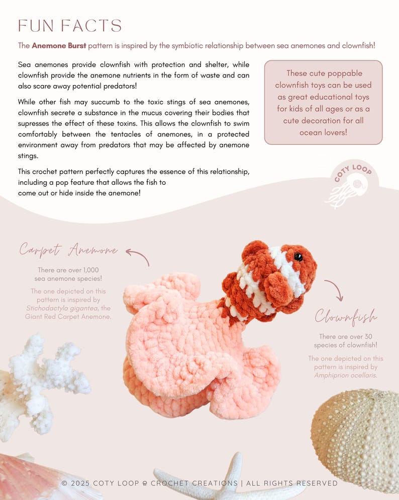 Anemone Clownfish Crochet Pattern (PDF) | OG Anemone Burst | Fidget Amigurumi | CotyLoops image 2
