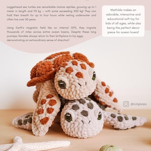 Pu&ograve; includere: Un giocattolo di tartaruga marina all'uncinetto di nome Mathilda, ispirato alla tartaruga Caretta caretta. Il giocattolo &egrave; fatto di filato morbido e peluche in beige, marrone e verde. Il giocattolo &egrave; seduto su una superficie marrone chiaro con una stella marina e un piccolo riccio di mare.