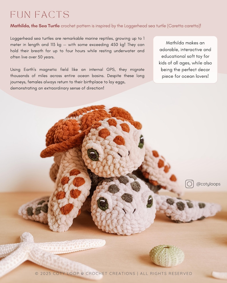 Pu&ograve; includere: Un giocattolo di tartaruga marina all'uncinetto di nome Mathilda, ispirato alla tartaruga Caretta caretta. Il giocattolo &egrave; fatto di filato morbido e peluche in beige, marrone e verde. Il giocattolo &egrave; seduto su una superficie marrone chiaro con una stella marina e un piccolo riccio di mare.