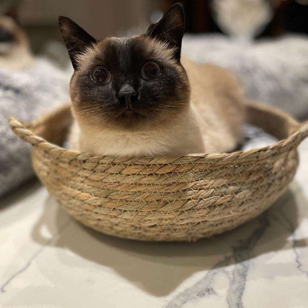 Hand Woven Rattan Pet Bed - Cat Basket-  Cat Nest - Soft Warm Washable Pillow - Homely Cat Nest - Stylish Cat Bed - Eco Friendly Cat Cave