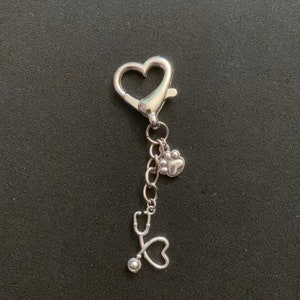 Veterinarian/vet tech keychain