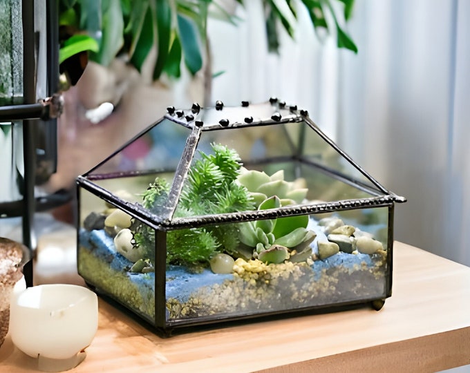 Chest Terrarium, Glass Terrarium, Terrarium Decor, Terrarium Container, Terrarium Box, Plant Container