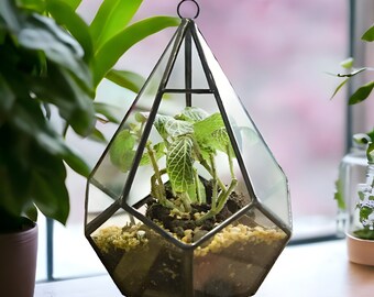 Geometric Terrarium, Hanging Diamond Terrarium, Terrarium Decor, Hanging Container, Glass Terrarium