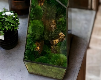 Geometric Glass Terrarium, Glass Terrarium with Door, Terrarium Decor, Glass Terrarium