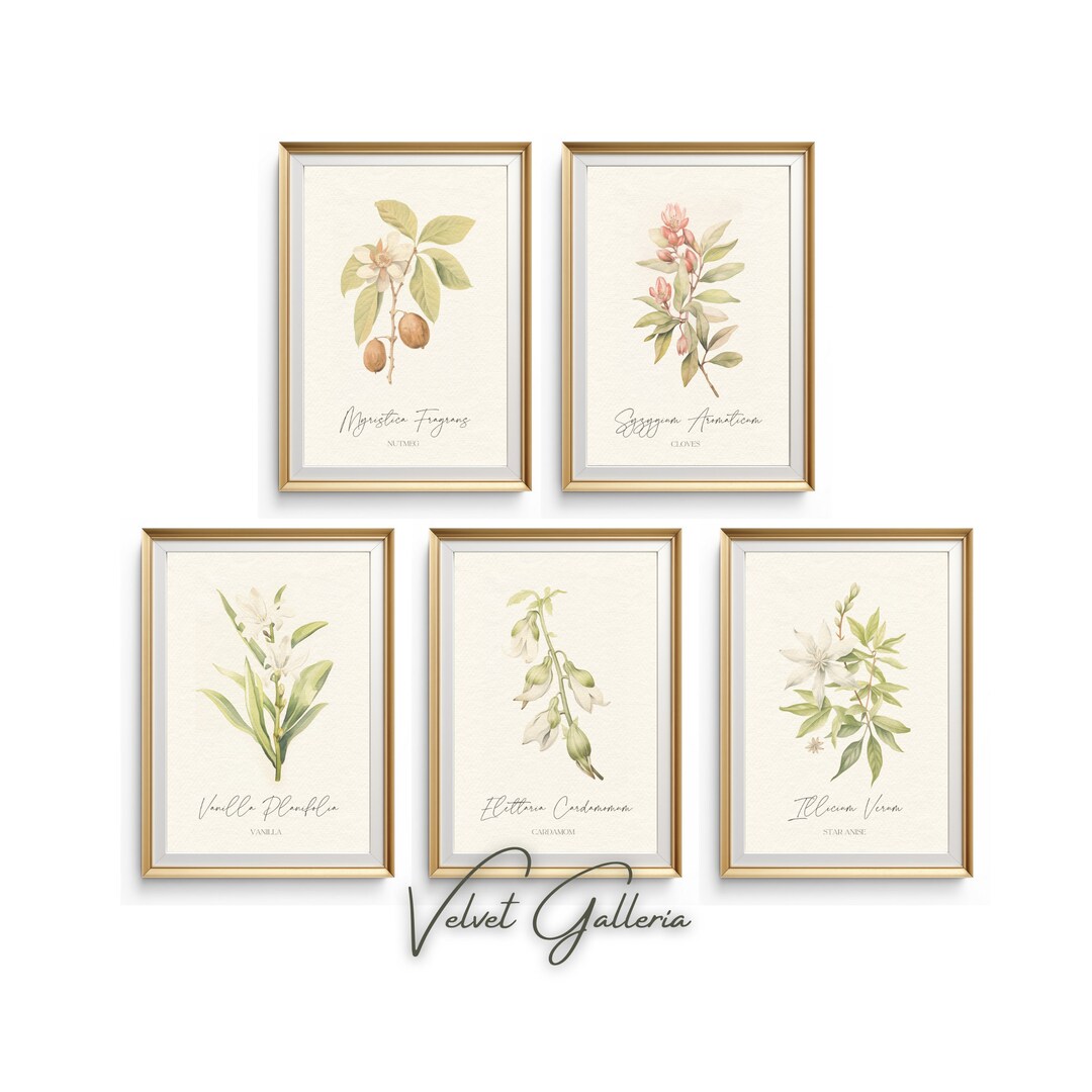 Antique Herbs Print Set of 5, Kitchen Spices Plants Gallery Set, Herb ...