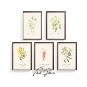 Herb Botanical Art Prints. Botanical Wall Art, Dining, Herb Prints, Farmhouse Decor, Kitchen Art Prints, Herb Wall Art, Botanical Print.