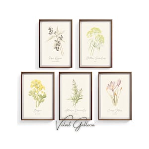 Vintage Küche Kräuter Drucke 5er Set - Kräuter Dekor, Küche Kunstdrucke, Bauernhaus Küche Dekor, Botanisches Kunstdruck Set, Kräuter Wandkunst