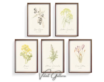 Vintage Kitchen Herbs Prints Set of 5 - Herb Decor, Kitchen Art Prints, Farmhouse Kitchen Decor, Botanical Art Print Set, Herb Wall Art
