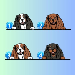 Cavalier King Charles Spaniel Car Decal: Waterproof Vinyl Peeking Dog ...