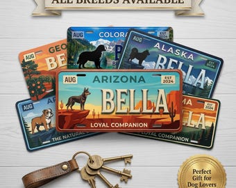 Targa anteriore personalizzata per cani - Targa personalizzata in stile vintage