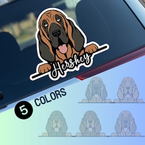 Bloodhound car window decal, peeking bloodhound head face vinyl waterproof sticker, gift dogs lovers,personalised custom name