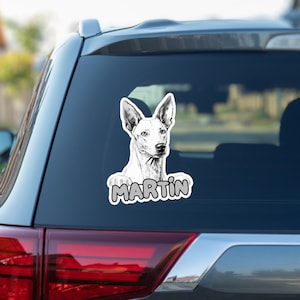 Custom ibizian hound car window decal, peeking pet head face vinyl waterproof white sticker, gift, sunglasses, personalized dog name