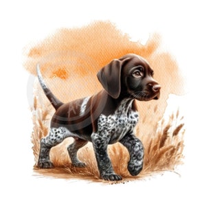 German Short Hair pointer png, Bird Hunting png, Bird Dog png, Digital Download, Sublimation, DTF, DTG