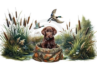 Duck Hunting PNG: Kids Design, Sublimation, DTF, DTG (Digital Download)