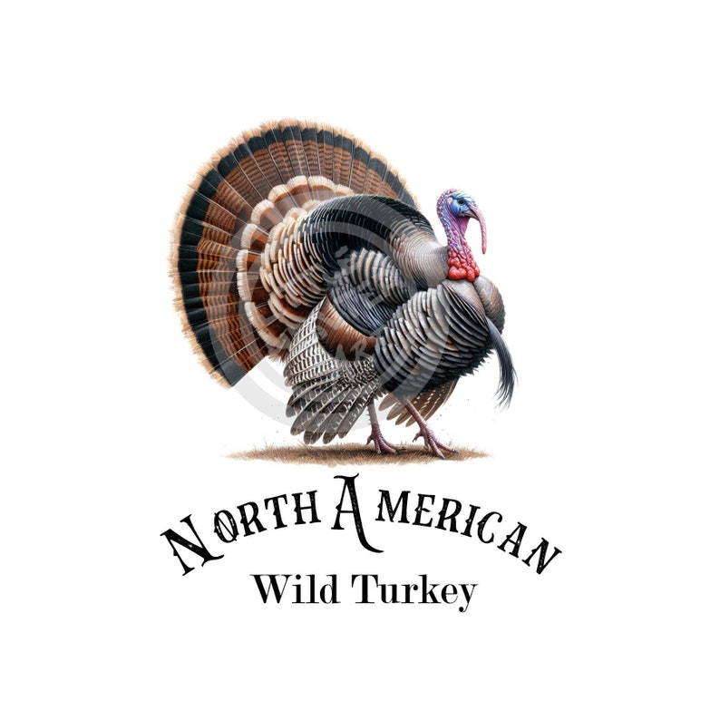 May include: A North American Wild Turkey with a brown, gray, and white patterned plumage, a red wattle, and a blue head. The turkey is standing with its tail feathers fanned out.