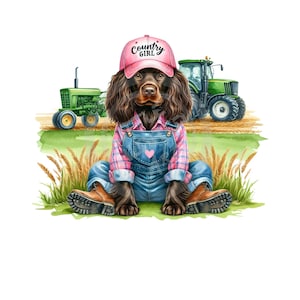Country Girl PNG, Boykin Spaniel png, agriculture png, ferme png, tracteur png, téléchargement numérique, sublimation, DTF, DTG